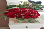 Foto 42
