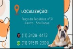 Foto 19