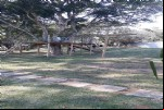 Foto 37