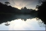 Foto 31