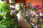 Foto 34