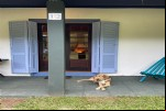 Foto 41