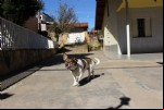 Foto 43