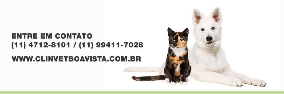 Entre em contato