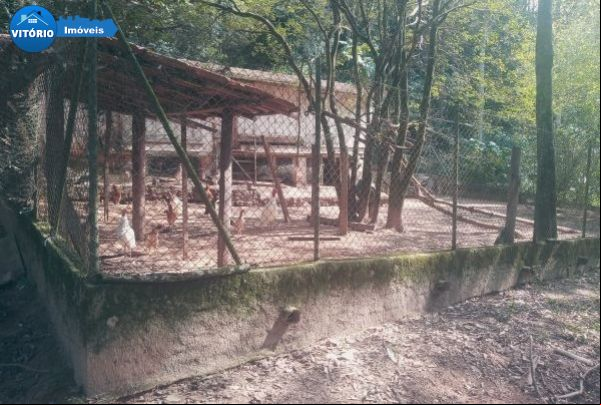 Oportunidade S