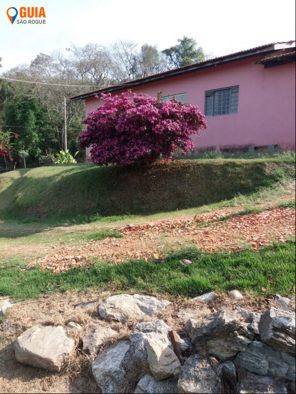 Belo s