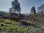Foto do Im