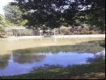 Foto do Im