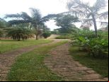Foto do Im