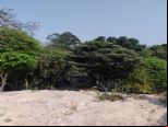 Foto do Im