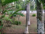 Foto do Im