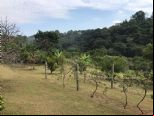Foto do Im