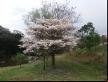 Foto do Im