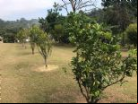 Foto do Im
