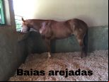 Foto do Im