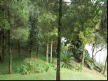 Foto do Im