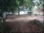 Foto do Im