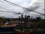 Foto do Im