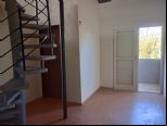 Foto do Im