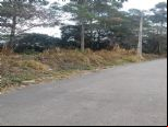 Foto do Im