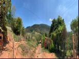 Foto do Im