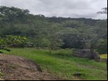 Foto do Im