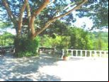 Foto do Im
