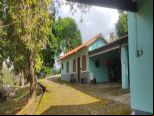 Foto Destaque