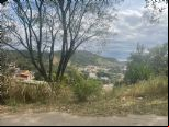 Foto Destaque