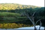 Foto do Im