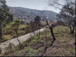 Foto do Im