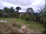 Foto do Im