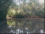 Foto do Im