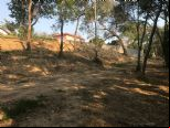 Foto do Im