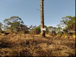 Foto do Im
