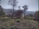 Foto do Im