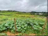 Foto do Im