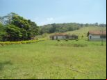 Foto Destaque
