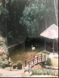 Foto do Im