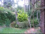 Foto do Im