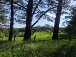 Foto do Im